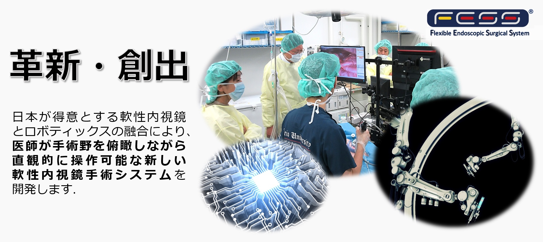 「Flexible Endoscopic Surgical System；FESS」トップ